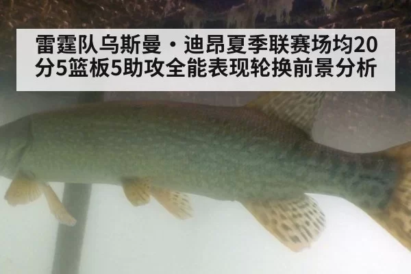 雷霆队乌斯曼·迪昂夏季联赛场均20分5篮板5助攻全能表现轮换前景分析