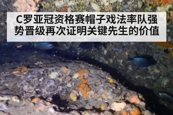 C罗亚冠资格赛帽子戏法率队强势晋级再次证明关键先生的价值