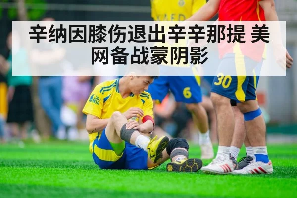 辛纳因膝伤退出辛辛那提 美网备战蒙阴影