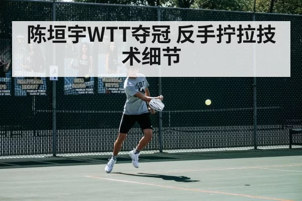 陈垣宇WTT夺冠 反手拧拉技术细节