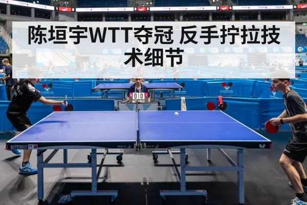 table tennis competition